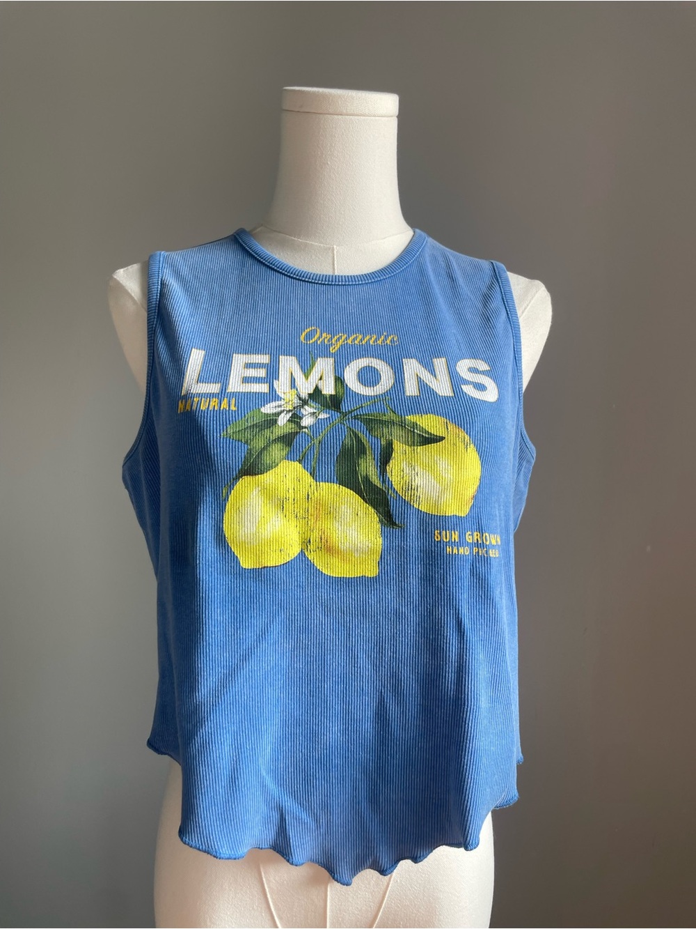 Modish Rebel Lemons Hanky Cropped Tank Top